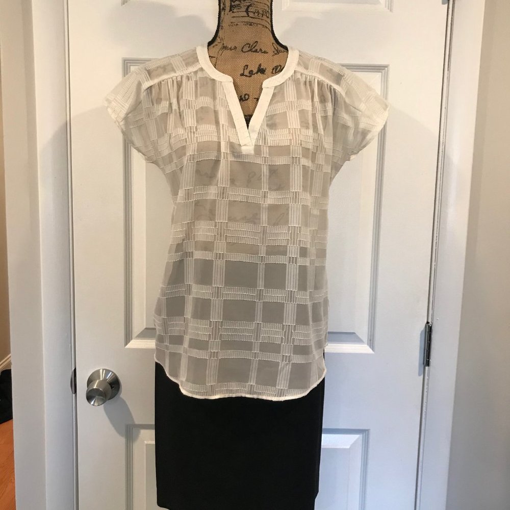 Banana Republic Sheer Blouse